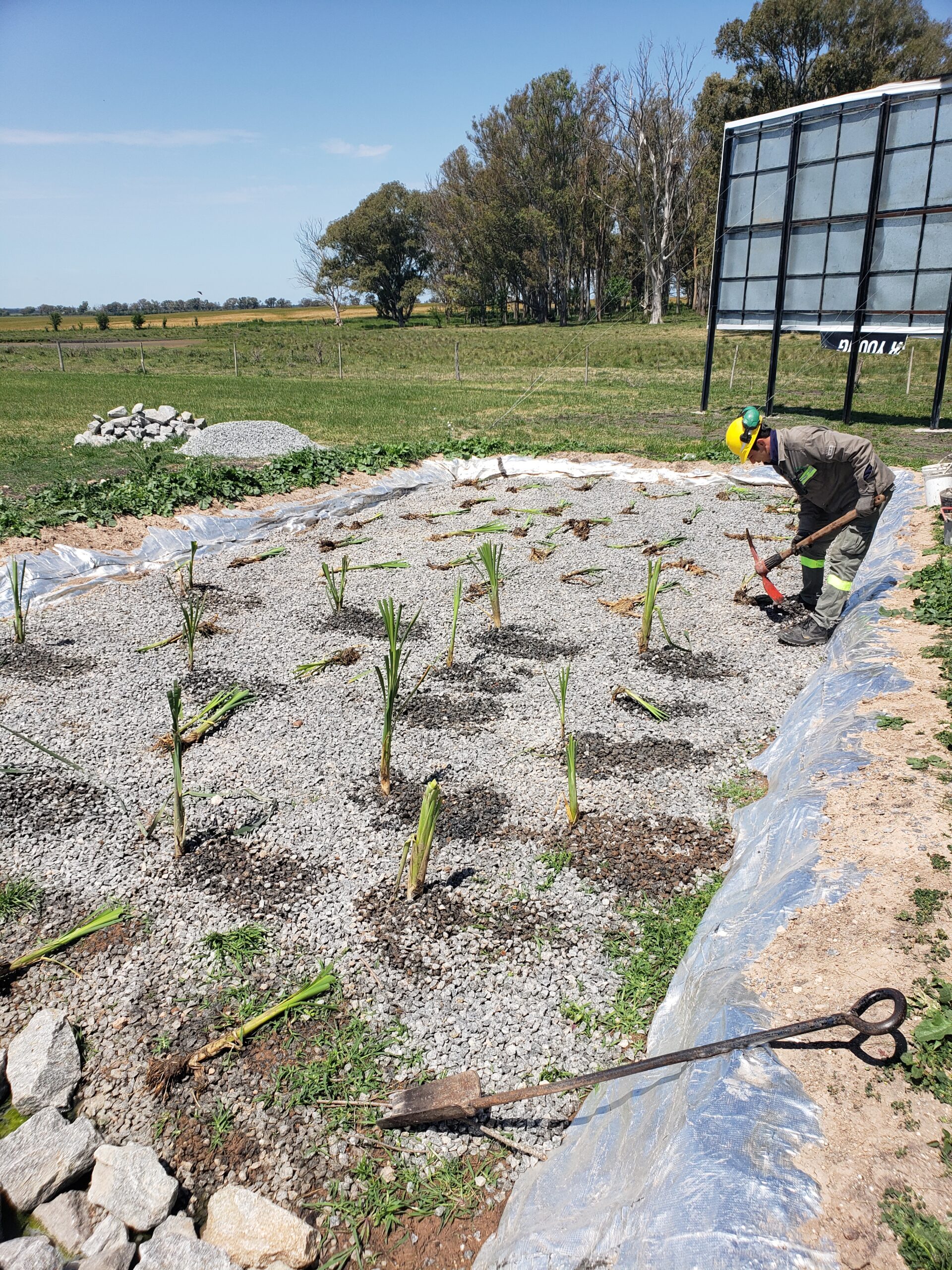 Soluciones Basadas En La Naturaleza Sbn Gea Consultores Ambientales